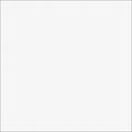 Mank Spanlin-Bio-Servietten KIRK hellgrau, 40 × 40 cm – Original-IFF